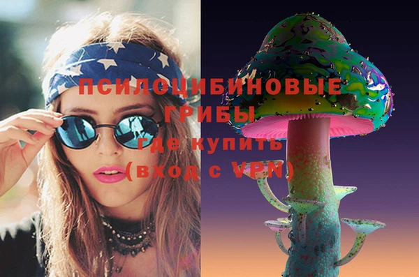 гидра Абаза