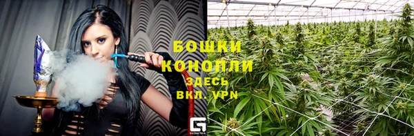 гидра Абаза