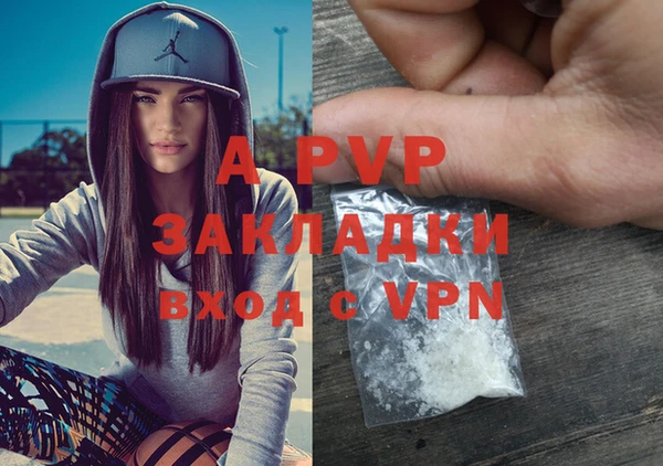 твердый Алексеевка