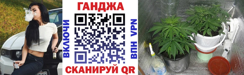 Бошки марихуана сатива  Кохма 